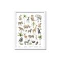 Picture of African wild animals I _GroupedProduct_Rectangle_Portrait_Mini_ _GroupedProduct_Rectangle_Portrait_Framed_Matted_