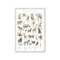 Picture of African wild animals I _GroupedProduct_Rectangle_Portrait_Mini_ _GroupedProduct_Rectangle_Portrait_Framed_Matted_
