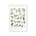 Picture of African wild animals I _GroupedProduct_Rectangle_Portrait_Mini_ _GroupedProduct_Rectangle_Portrait_Framed_Matted_