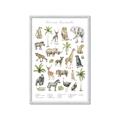 Picture of African wild animals I _GroupedProduct_Rectangle_Portrait_Mini_ _GroupedProduct_Rectangle_Portrait_Framed_Matted_