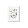 Picture of African wild animals I _GroupedProduct_Rectangle_Portrait_Mini_ _GroupedProduct_Rectangle_Portrait_Framed_Matted_