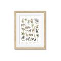 Picture of African wild animals I _GroupedProduct_Rectangle_Portrait_Mini_ _GroupedProduct_Rectangle_Portrait_Framed_Matted_
