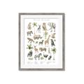 Picture of African wild animals I _GroupedProduct_Rectangle_Portrait_Mini_ _GroupedProduct_Rectangle_Portrait_Framed_Matted_