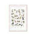 Picture of African wild animals I _GroupedProduct_Rectangle_Portrait_Mini_ _GroupedProduct_Rectangle_Portrait_Framed_Matted_
