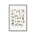 Picture of African wild animals I _GroupedProduct_Rectangle_Portrait_Mini_ _GroupedProduct_Rectangle_Portrait_Framed_Matted_