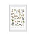 Picture of African wild animals I _GroupedProduct_Rectangle_Portrait_Mini_ _GroupedProduct_Rectangle_Portrait_Framed_Matted_