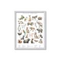 Picture of African wild animals II _GroupedProduct_Rectangle_Portrait_Mini_ _GroupedProduct_Rectangle_Portrait_Framed_Matted_