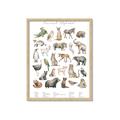Picture of African wild animals II _GroupedProduct_Rectangle_Portrait_Mini_ _GroupedProduct_Rectangle_Portrait_Framed_Matted_