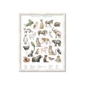 Picture of African wild animals II _GroupedProduct_Rectangle_Portrait_Mini_ _GroupedProduct_Rectangle_Portrait_Framed_Matted_