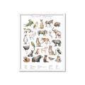 Picture of African wild animals II _GroupedProduct_Rectangle_Portrait_Mini_ _GroupedProduct_Rectangle_Portrait_Framed_Matted_