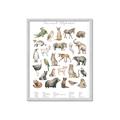 Picture of African wild animals II _GroupedProduct_Rectangle_Portrait_Mini_ _GroupedProduct_Rectangle_Portrait_Framed_Matted_