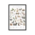 Picture of African wild animals II _GroupedProduct_Rectangle_Portrait_Mini_ _GroupedProduct_Rectangle_Portrait_Framed_Matted_
