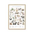 Picture of African wild animals II _GroupedProduct_Rectangle_Portrait_Mini_ _GroupedProduct_Rectangle_Portrait_Framed_Matted_