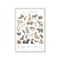 Picture of African wild animals II _GroupedProduct_Rectangle_Portrait_Mini_ _GroupedProduct_Rectangle_Portrait_Framed_Matted_