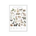 Picture of African wild animals II _GroupedProduct_Rectangle_Portrait_Mini_ _GroupedProduct_Rectangle_Portrait_Framed_Matted_