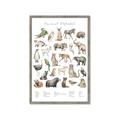 Picture of African wild animals II _GroupedProduct_Rectangle_Portrait_Mini_ _GroupedProduct_Rectangle_Portrait_Framed_Matted_