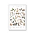 Picture of African wild animals II _GroupedProduct_Rectangle_Portrait_Mini_ _GroupedProduct_Rectangle_Portrait_Framed_Matted_