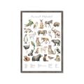 Picture of African wild animals II _GroupedProduct_Rectangle_Portrait_Mini_ _GroupedProduct_Rectangle_Portrait_Framed_Matted_