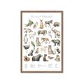 Picture of African wild animals II _GroupedProduct_Rectangle_Portrait_Mini_ _GroupedProduct_Rectangle_Portrait_Framed_Matted_