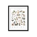 Picture of African wild animals II _GroupedProduct_Rectangle_Portrait_Mini_ _GroupedProduct_Rectangle_Portrait_Framed_Matted_