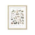 Picture of African wild animals II _GroupedProduct_Rectangle_Portrait_Mini_ _GroupedProduct_Rectangle_Portrait_Framed_Matted_