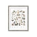 Picture of African wild animals II _GroupedProduct_Rectangle_Portrait_Mini_ _GroupedProduct_Rectangle_Portrait_Framed_Matted_