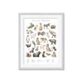 Picture of African wild animals II _GroupedProduct_Rectangle_Portrait_Mini_ _GroupedProduct_Rectangle_Portrait_Framed_Matted_