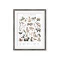 Picture of African wild animals II _GroupedProduct_Rectangle_Portrait_Mini_ _GroupedProduct_Rectangle_Portrait_Framed_Matted_