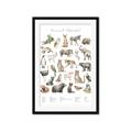 Picture of African wild animals II _GroupedProduct_Rectangle_Portrait_Mini_ _GroupedProduct_Rectangle_Portrait_Framed_Matted_