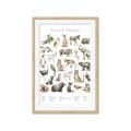 Picture of African wild animals II _GroupedProduct_Rectangle_Portrait_Mini_ _GroupedProduct_Rectangle_Portrait_Framed_Matted_
