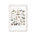 Picture of African wild animals II _GroupedProduct_Rectangle_Portrait_Mini_ _GroupedProduct_Rectangle_Portrait_Framed_Matted_