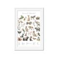 Picture of African wild animals II _GroupedProduct_Rectangle_Portrait_Mini_ _GroupedProduct_Rectangle_Portrait_Framed_Matted_
