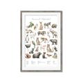 Picture of African wild animals II _GroupedProduct_Rectangle_Portrait_Mini_ _GroupedProduct_Rectangle_Portrait_Framed_Matted_