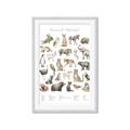 Picture of African wild animals II _GroupedProduct_Rectangle_Portrait_Mini_ _GroupedProduct_Rectangle_Portrait_Framed_Matted_