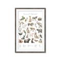 Picture of African wild animals II _GroupedProduct_Rectangle_Portrait_Mini_ _GroupedProduct_Rectangle_Portrait_Framed_Matted_