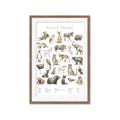 Picture of African wild animals II _GroupedProduct_Rectangle_Portrait_Mini_ _GroupedProduct_Rectangle_Portrait_Framed_Matted_