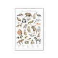 Picture of Cute Wild Animals I _GroupedProduct_Rectangle_Portrait_Mini_ _GroupedProduct_Rectangle_Portrait_Framed_Matted_