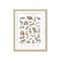 Picture of Cute Wild Animals I _GroupedProduct_Rectangle_Portrait_Mini_ _GroupedProduct_Rectangle_Portrait_Framed_Matted_