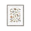 Picture of Cute Wild Animals I _GroupedProduct_Rectangle_Portrait_Mini_ _GroupedProduct_Rectangle_Portrait_Framed_Matted_