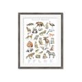 Picture of Cute Wild Animals I _GroupedProduct_Rectangle_Portrait_Mini_ _GroupedProduct_Rectangle_Portrait_Framed_Matted_