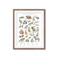 Picture of Cute Wild Animals I _GroupedProduct_Rectangle_Portrait_Mini_ _GroupedProduct_Rectangle_Portrait_Framed_Matted_