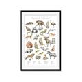 Picture of Cute Wild Animals I _GroupedProduct_Rectangle_Portrait_Mini_ _GroupedProduct_Rectangle_Portrait_Framed_Matted_