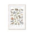 Picture of Cute Wild Animals I _GroupedProduct_Rectangle_Portrait_Mini_ _GroupedProduct_Rectangle_Portrait_Framed_Matted_