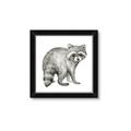 Picture of Forest Raccoon  _GroupedProduct_Square_Mini_ _GroupedProduct_Square_Framed_Matted_