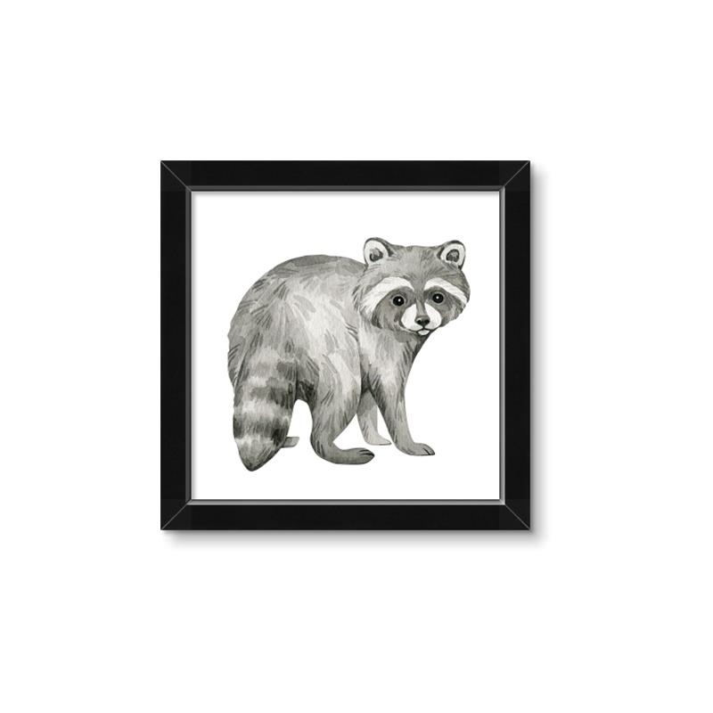 Picture of Forest Raccoon  _GroupedProduct_Square_Mini_ _GroupedProduct_Square_Framed_Matted_