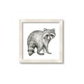 Picture of Forest Raccoon  _GroupedProduct_Square_Mini_ _GroupedProduct_Square_Framed_Matted_