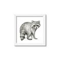 Picture of Forest Raccoon  _GroupedProduct_Square_Mini_ _GroupedProduct_Square_Framed_Matted_