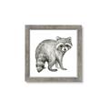 Picture of Forest Raccoon  _GroupedProduct_Square_Mini_ _GroupedProduct_Square_Framed_Matted_