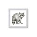 Picture of Forest Raccoon  _GroupedProduct_Square_Mini_ _GroupedProduct_Square_Framed_Matted_