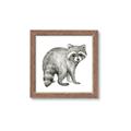 Picture of Forest Raccoon  _GroupedProduct_Square_Mini_ _GroupedProduct_Square_Framed_Matted_